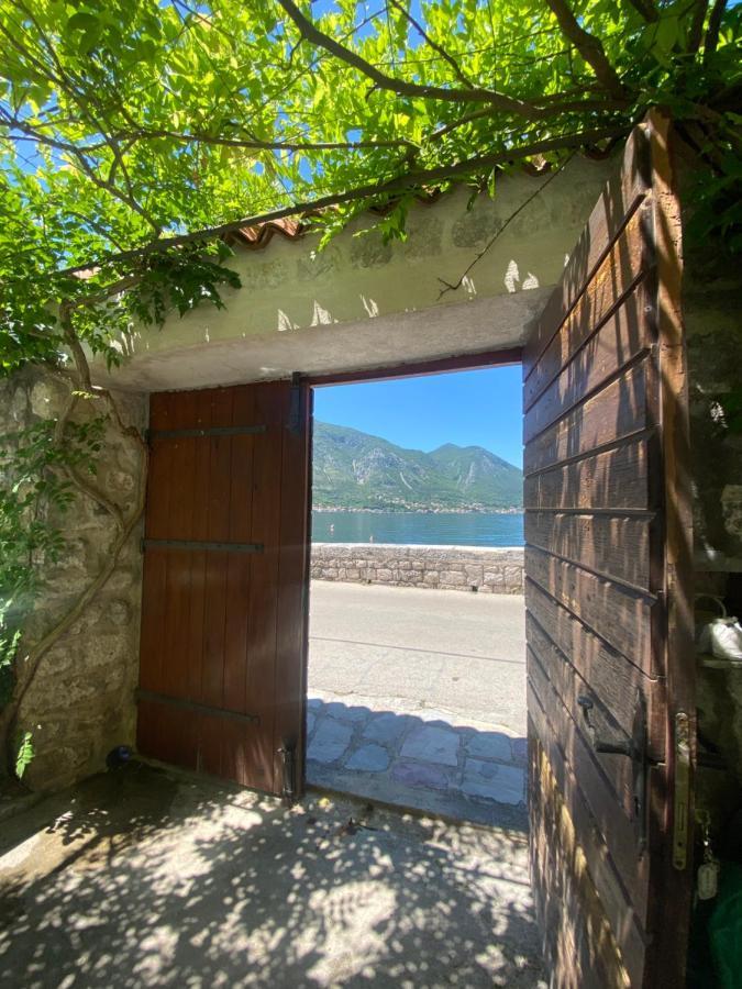 Apartment Danila Kotor Bagian luar foto