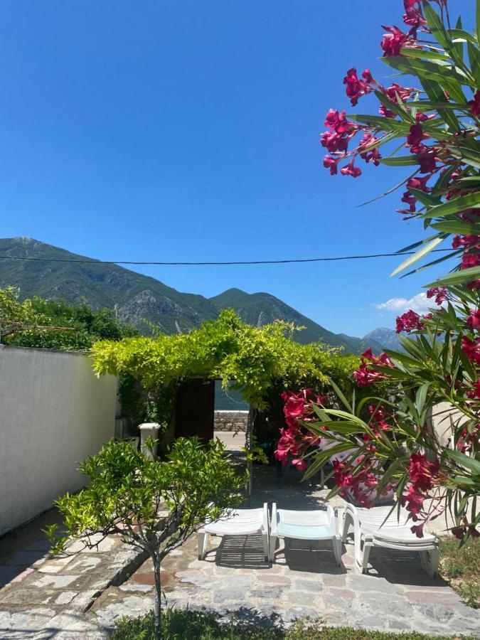 Apartment Danila Kotor Bagian luar foto